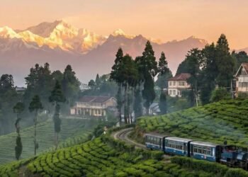 Everything You Need to Know About Growth and Travel in West Bengal